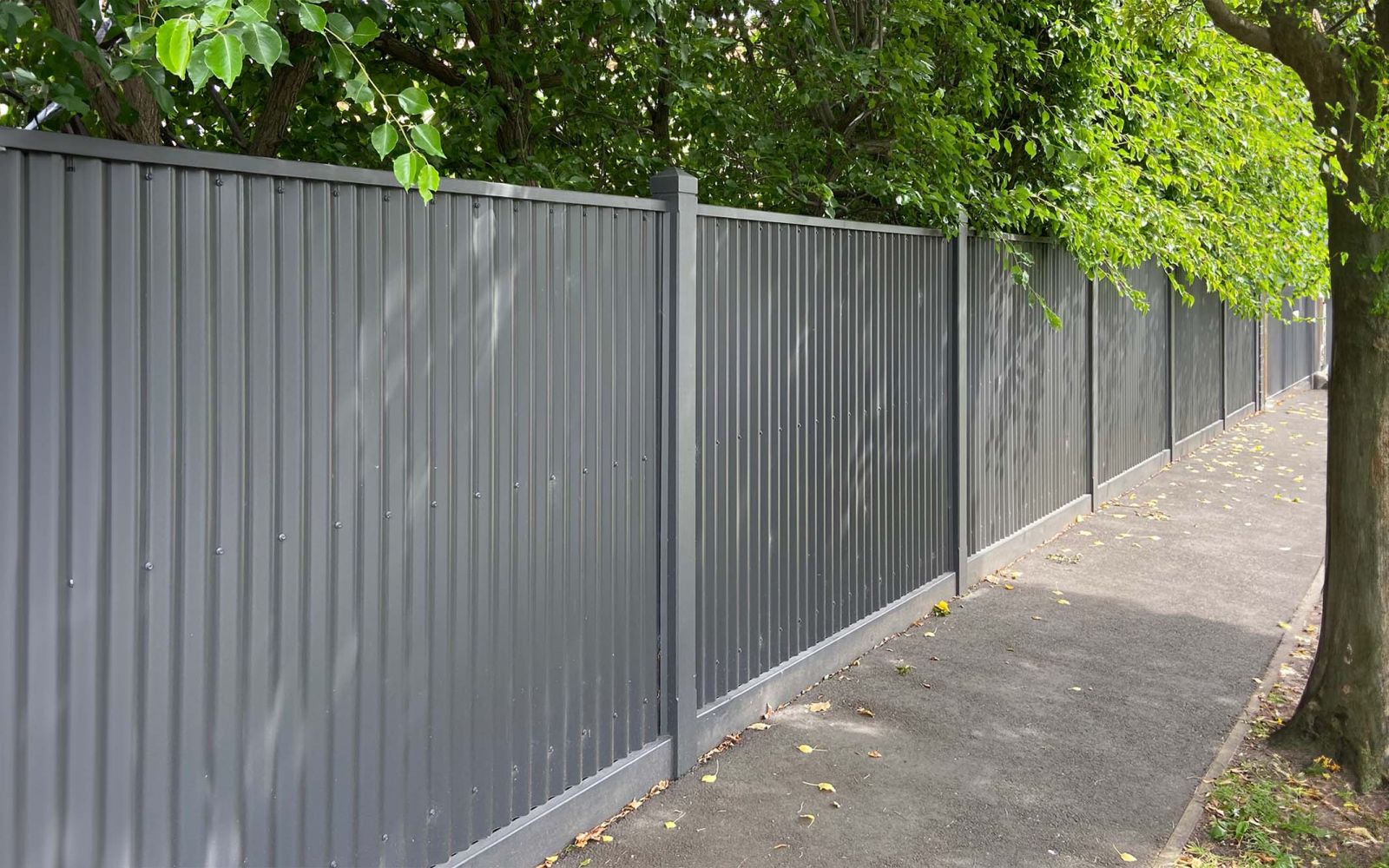 Colorsteel fence