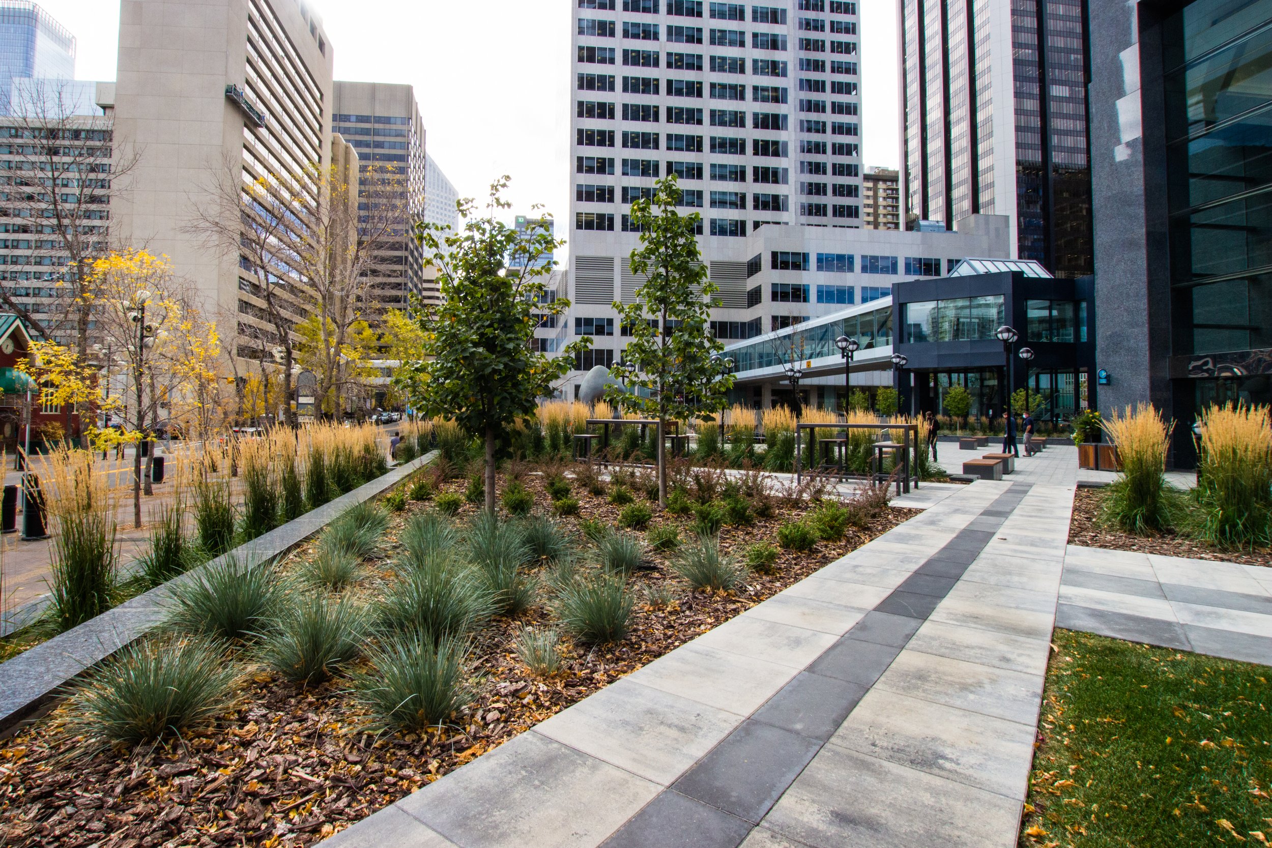 Commercial landscaping project